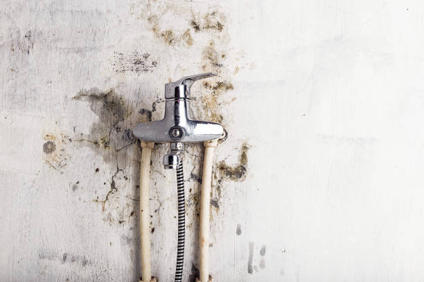 Best Residential Mold Remediation in Claude, TX
