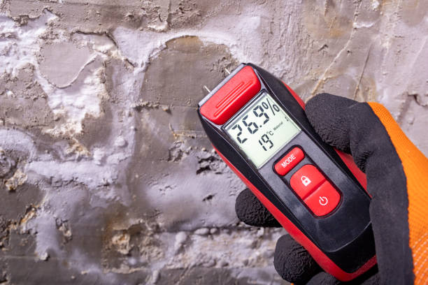 Best HVAC Mold Remediation in Claude, TX